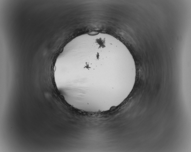 X0000094920961200712271529