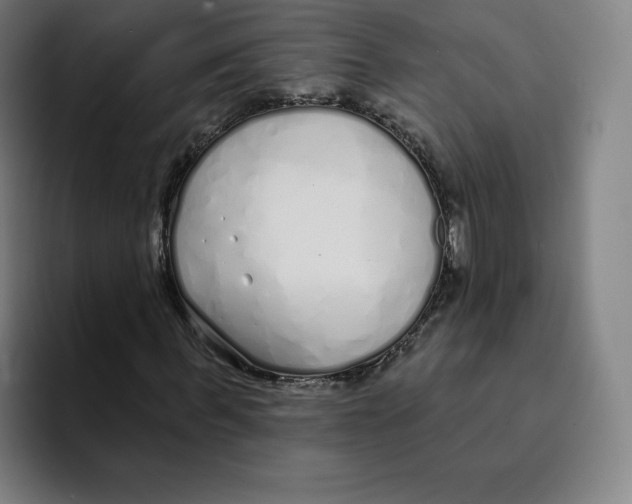 X0000094920963200712271529