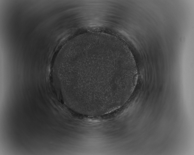 X0000094920964200712271529