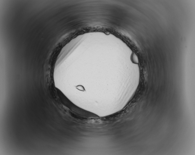 X0000094920968200712271529