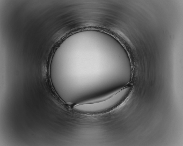 X0000094920969200712271529