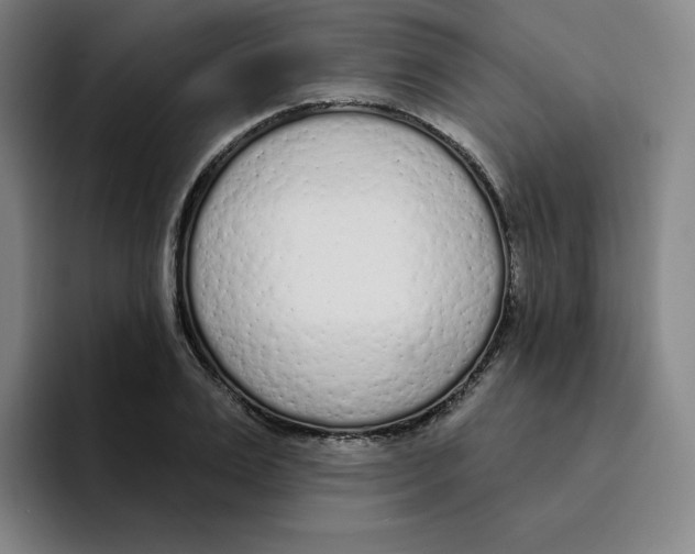 X0000094920983200712271529
