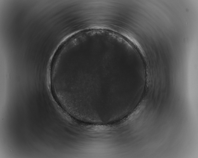 X0000094920984200712271529