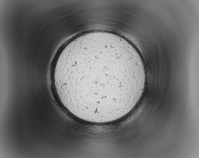 X0000094920987200712271529
