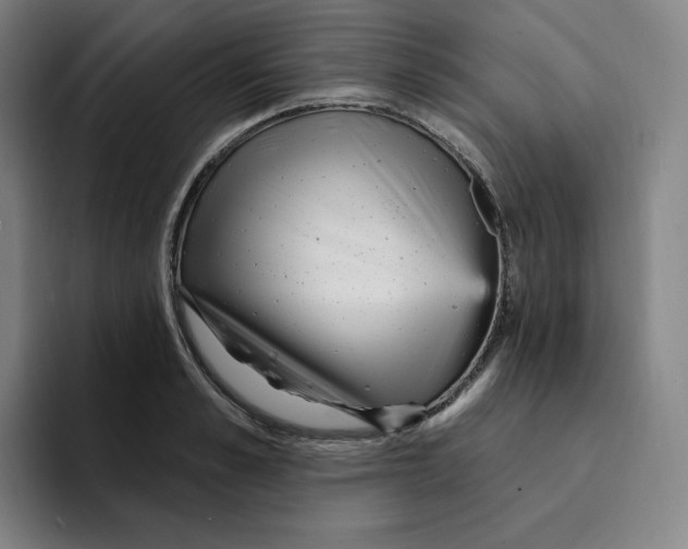 X0000094920989200712271529