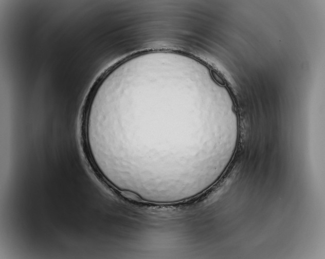 X0000094920991200712271529