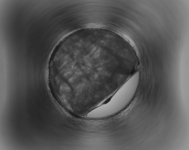 X0000094920992200712271529