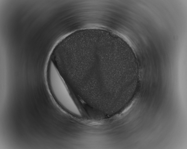 X0000094920995200712271529