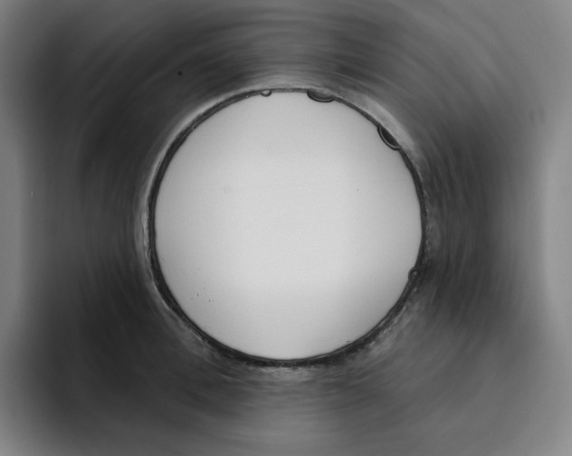 X0000094920996200712271529