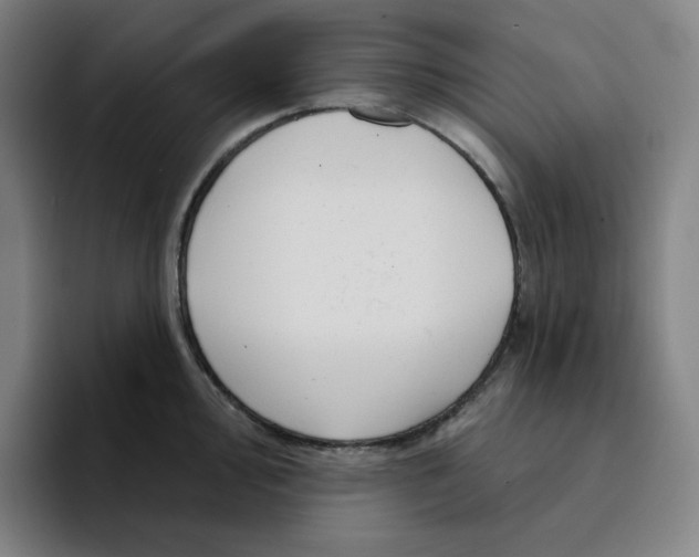 X0000094921000200712271529