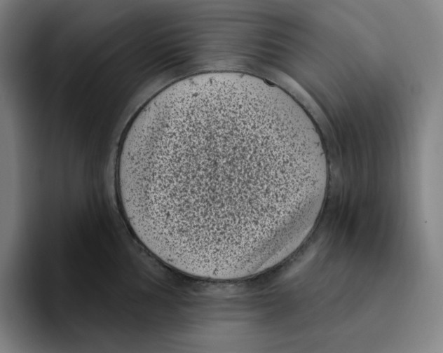 X0000094921002200712271529