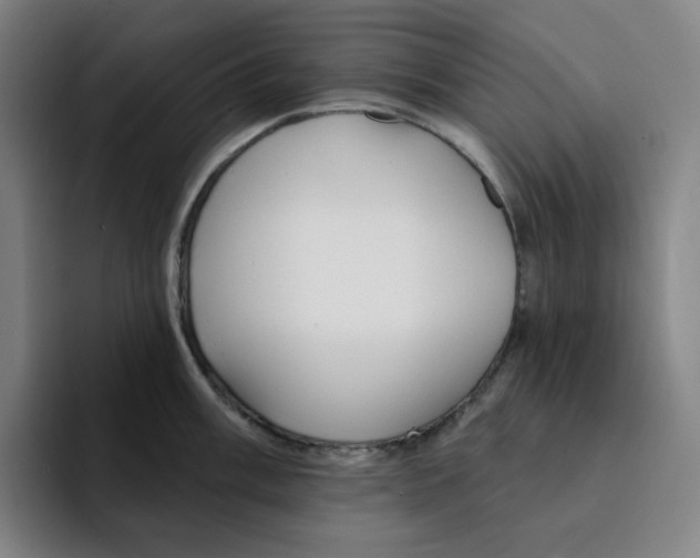 X0000094921003200712271529