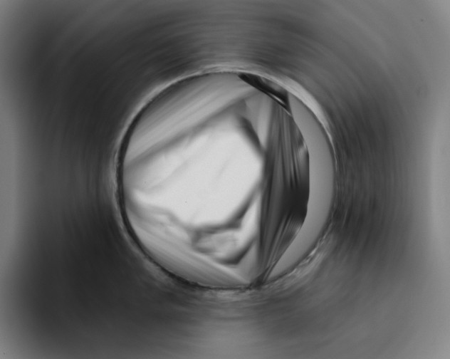 X0000094921005200712271529