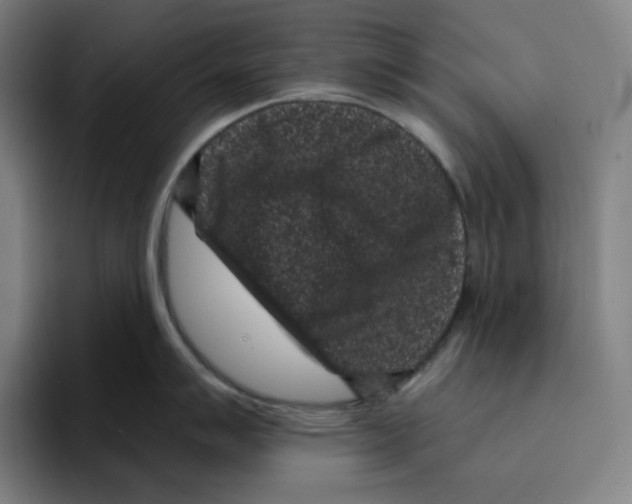 X0000094921007200712271529