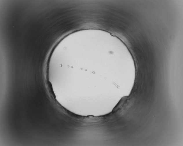 X0000094921008200712271529