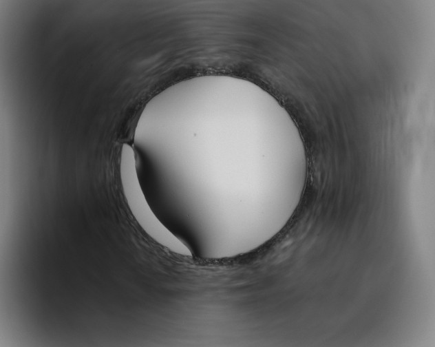 X0000094921010200712271528