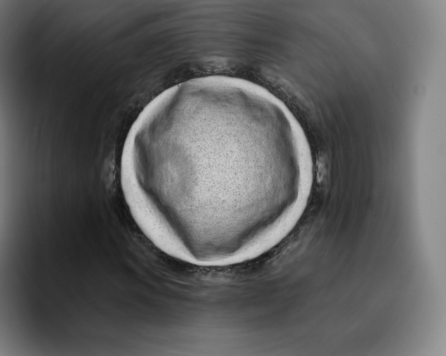 X0000094921011200712271528