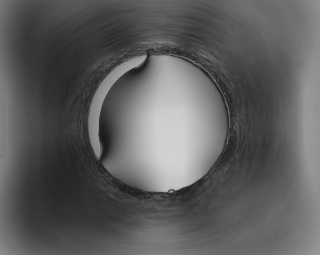 X0000094921014200712271528