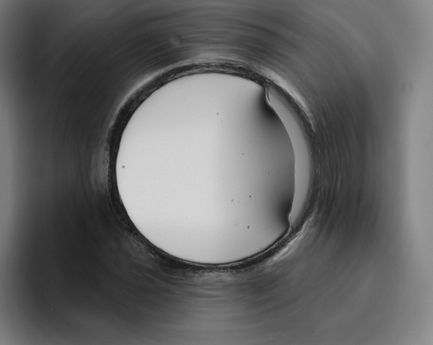 X0000094921021200712271528
