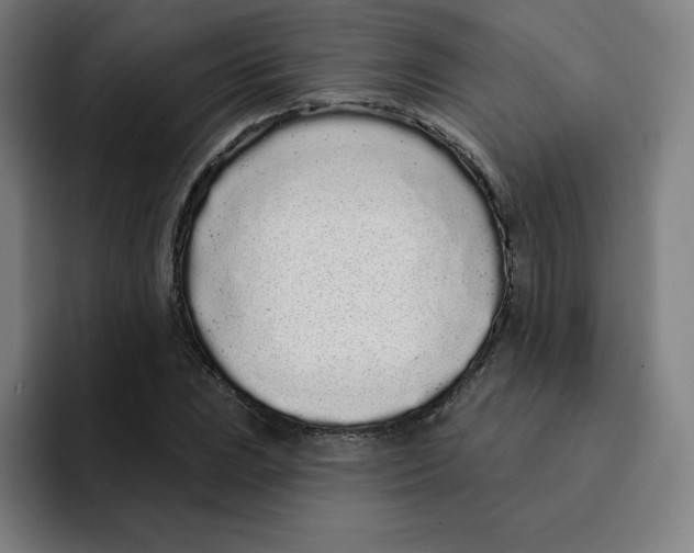 X0000094921023200712271528