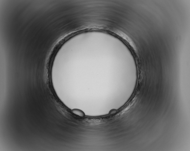 X0000094921027200712271528