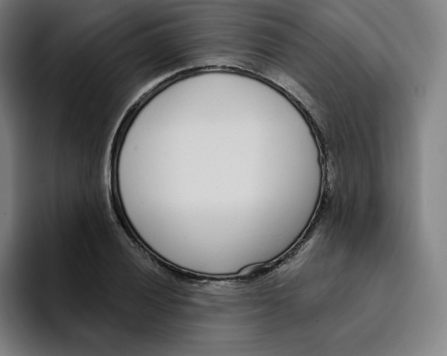 X0000094921028200712271528