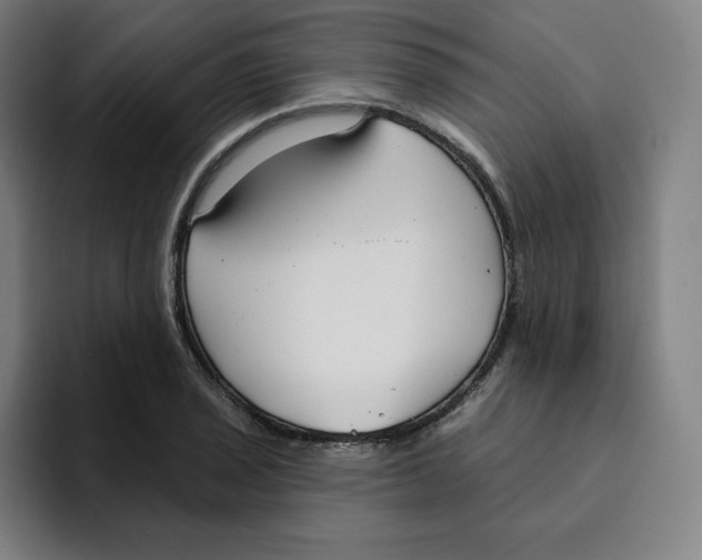 X0000094921029200712271528