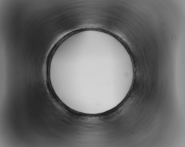 X0000094921030200712271528