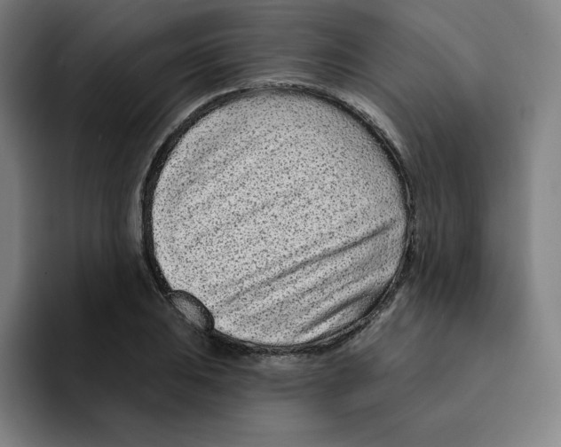 X0000094921031200712271528