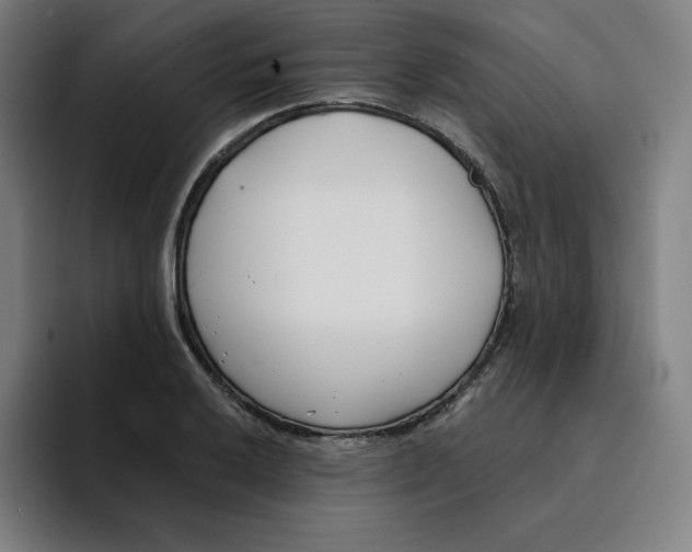 X0000094921032200712271528