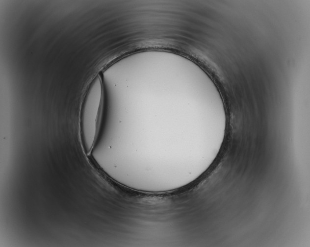 X0000094921033200712271528