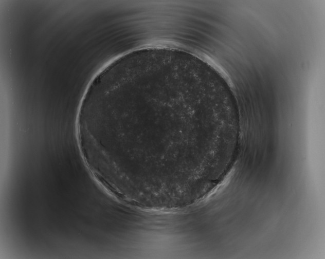 X0000094921037200712271528