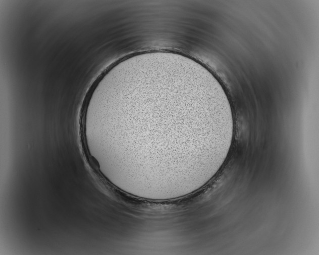 X0000094921039200712271528
