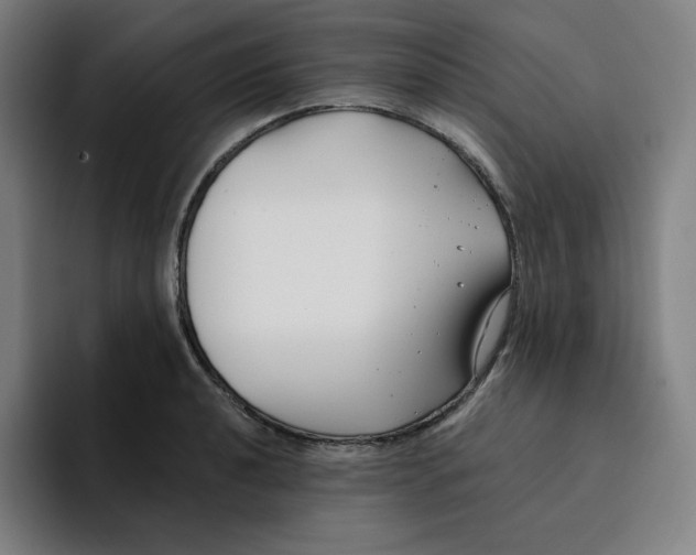 X0000094921040200712271528