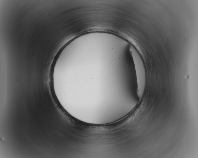 X0000094921042200712271529