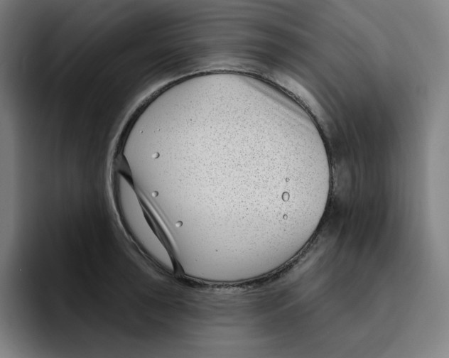 X0000094921043200712271529