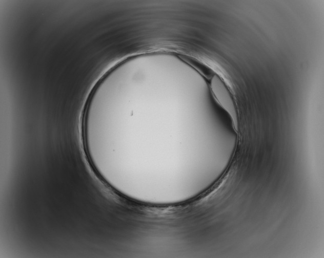 X0000094921047200712271529