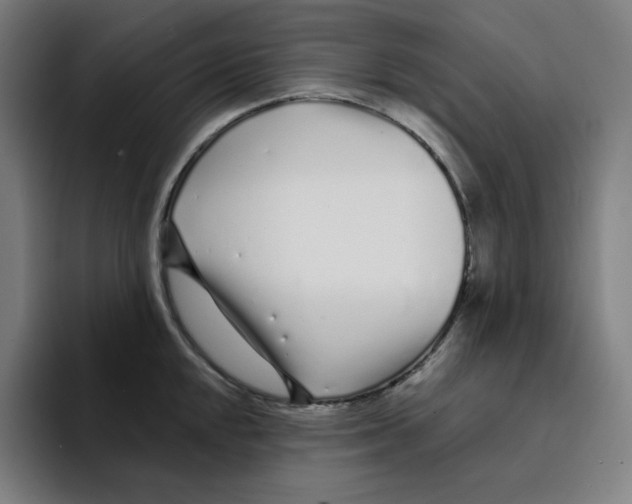 X0000094921048200712271529