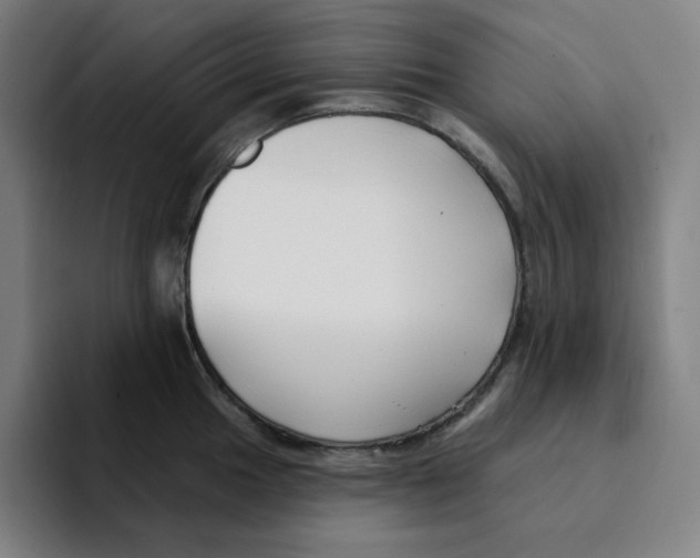 X0000094921049200712271529