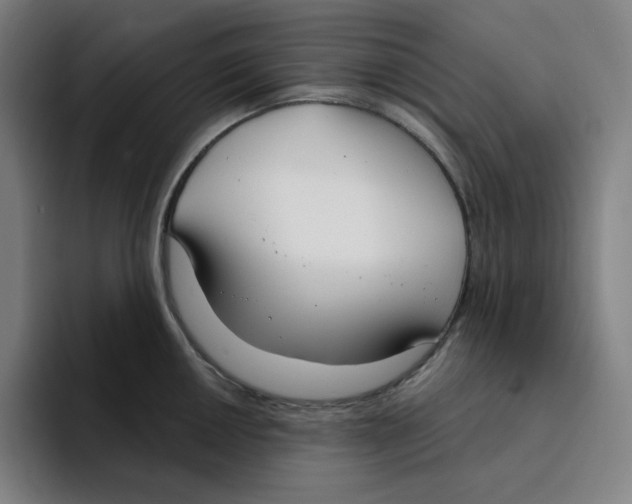 X0000094921050200712271529