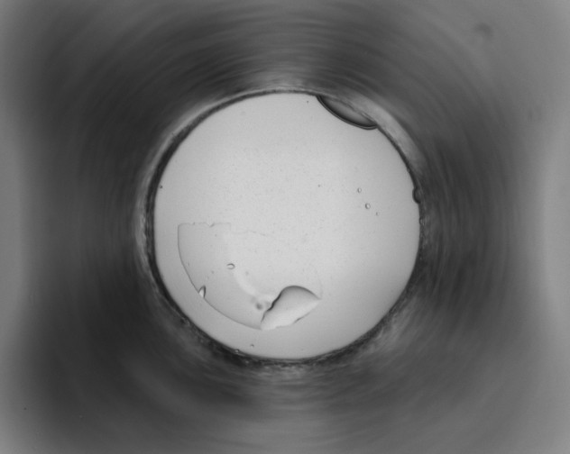 X0000094921051200712271529