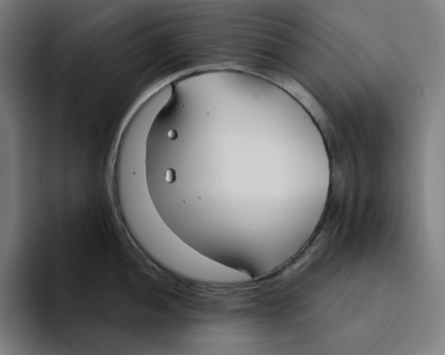 X0000094921052200712271529