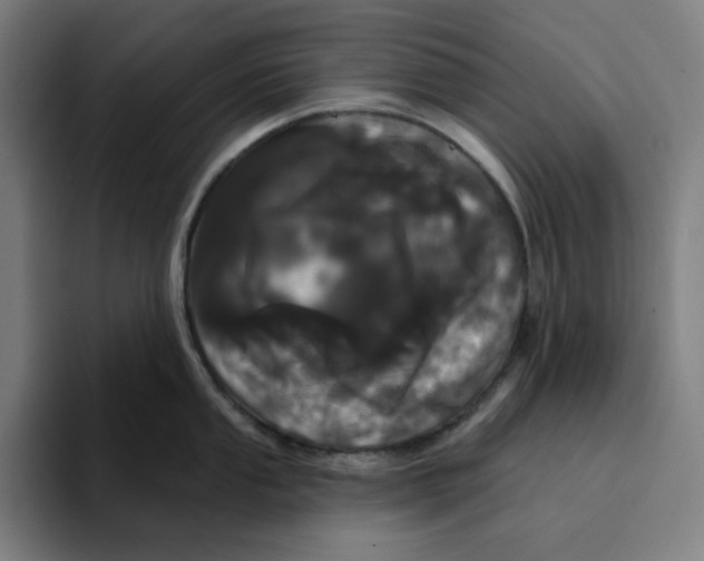 X0000094921053200712271529