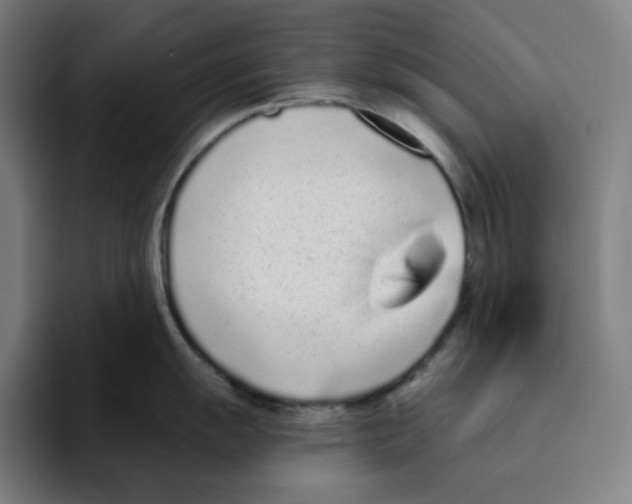 X0000094921055200712271529