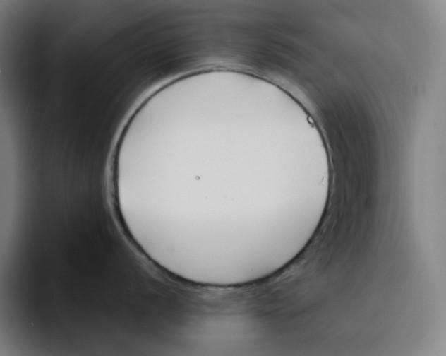 X0000094921056200712271529