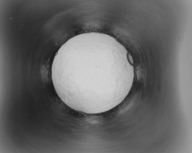 X0000094921059200712271528