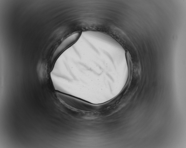 X0000094921060200712271528