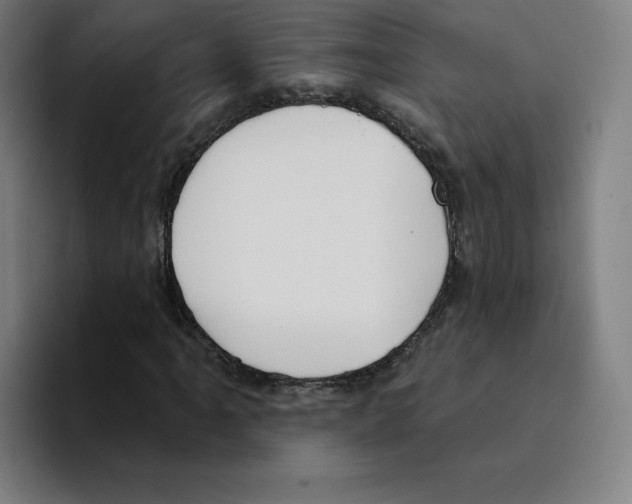 X0000094921061200712271528
