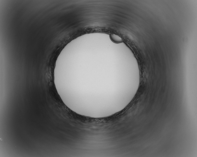 X0000094921062200712271528