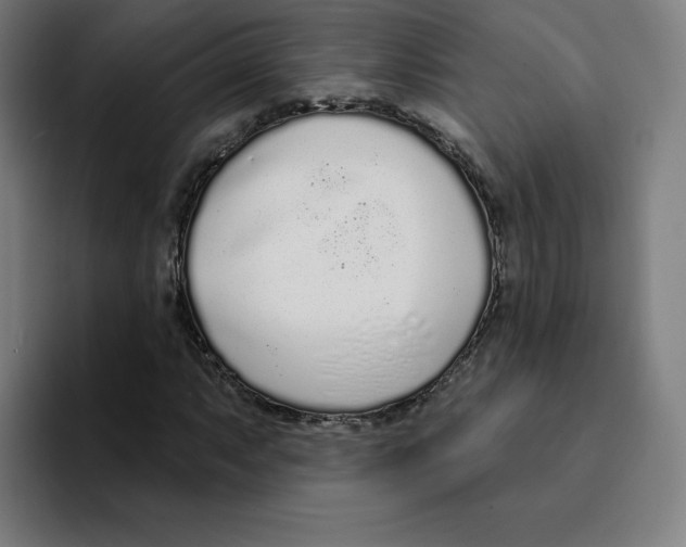 X0000094921063200712271528